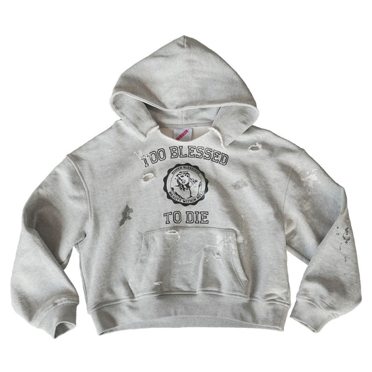 Blessed Hoodie
